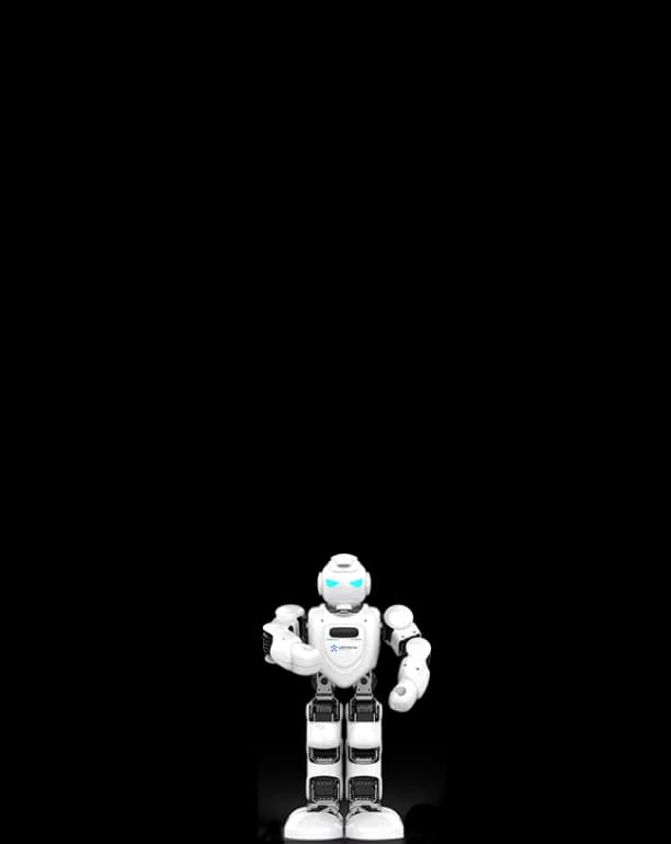 人形机器人Alpha Ebot